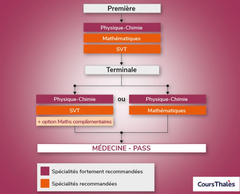 Quelles spécialités choisir au lycée pour faire Médecine — free download