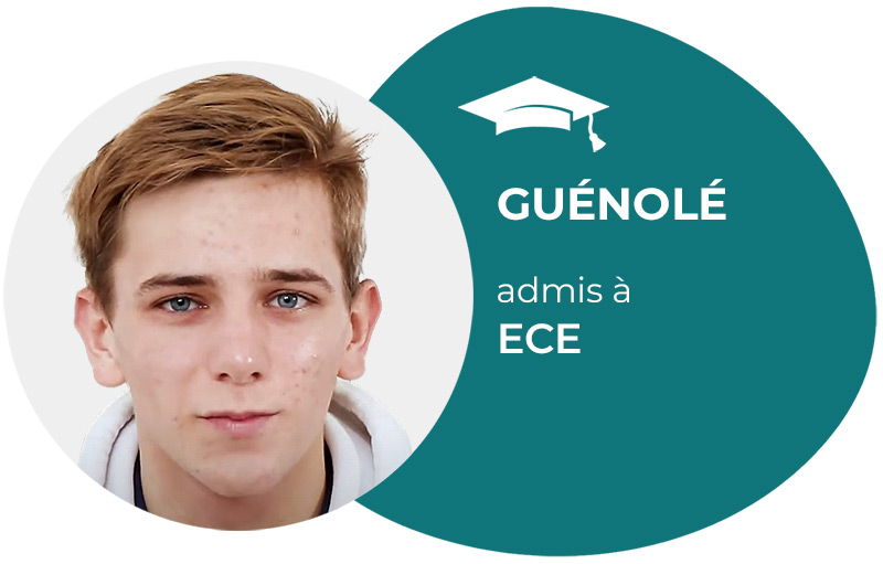 visuel-avis-ingenieur-guenole-2