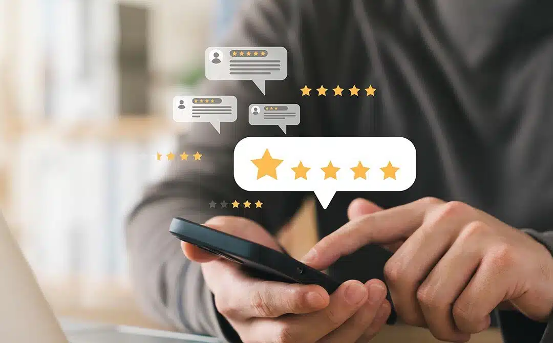 Classement des lycées 2015