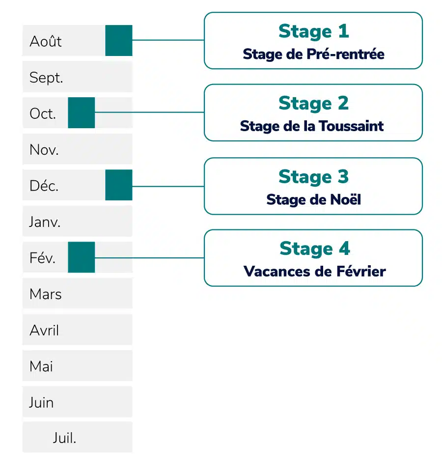 ScPo-plannings-2025-mobile-1