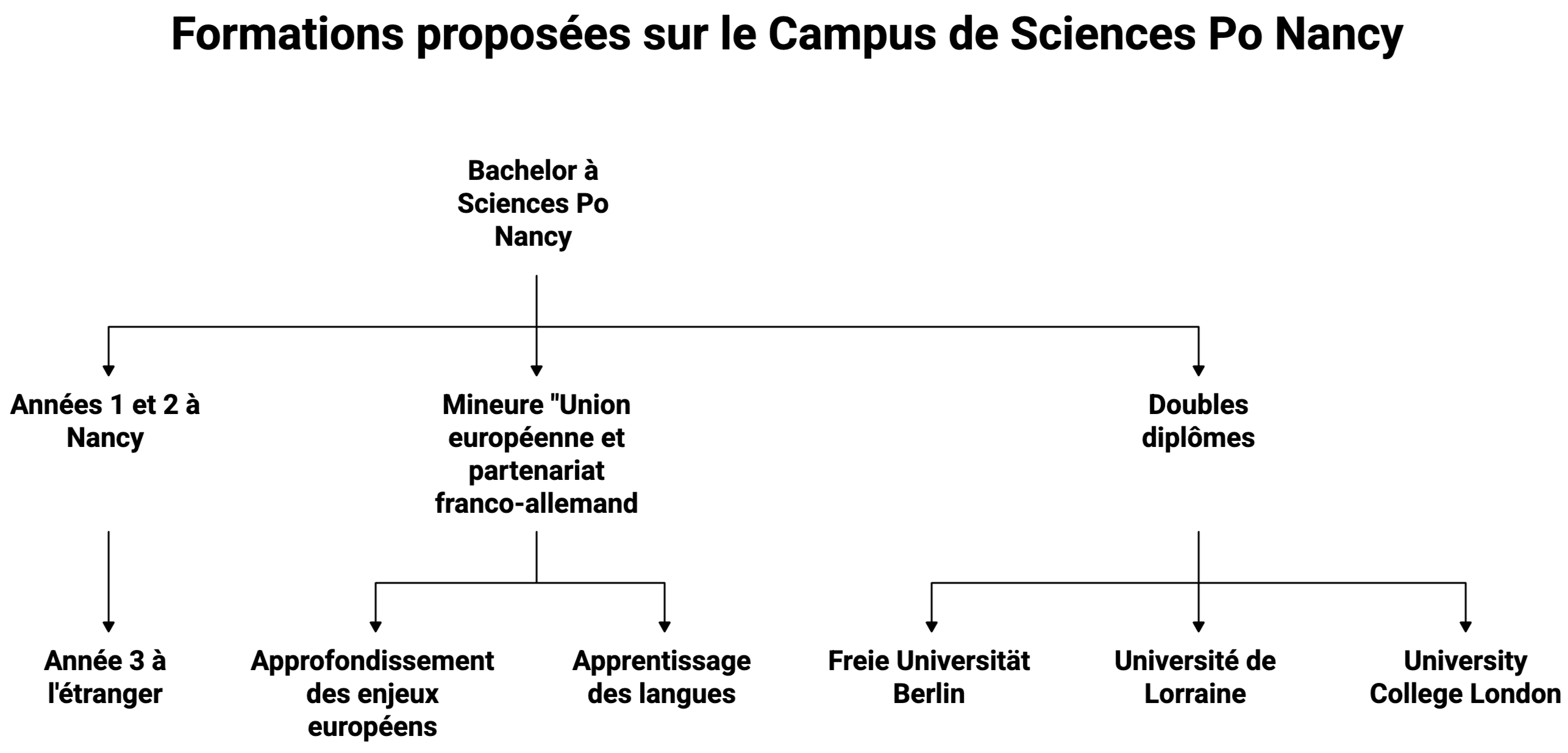 bachelor sciences po nancy
