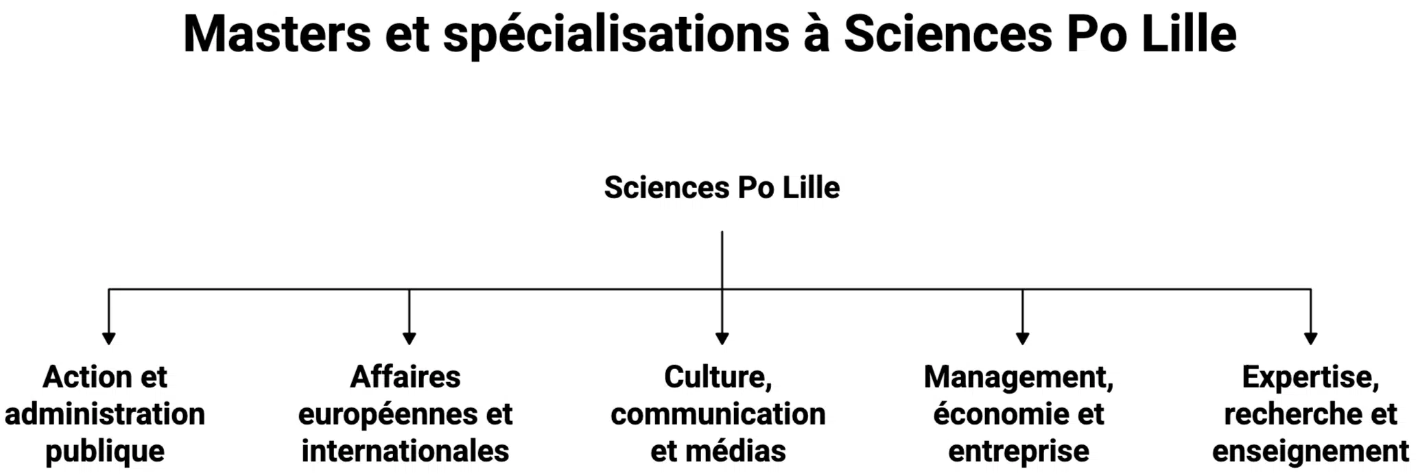 Masters et spécialisations à Sciences Po Lille